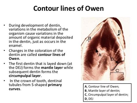 contour lines of owen are similar to